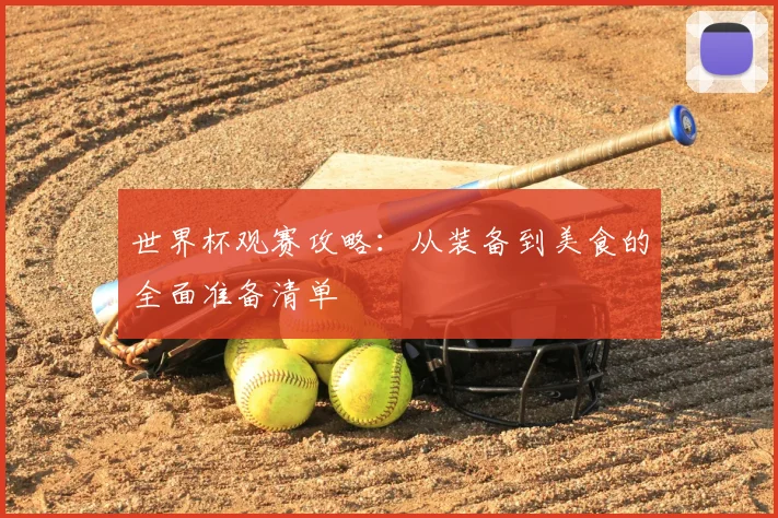 世界杯观赛攻略:从装备到美食的全面准备清单