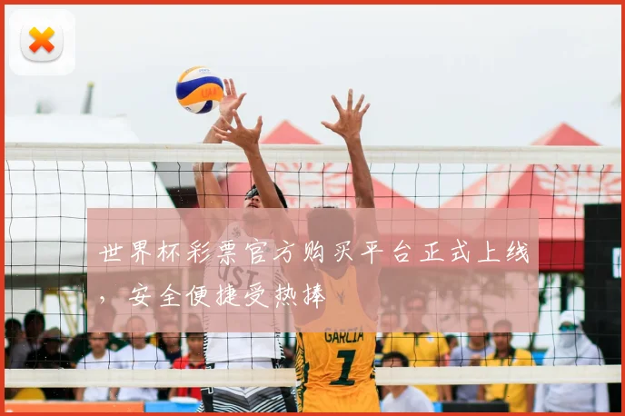 世界杯彩票官方购买平台正式上线,安全便捷受热捧