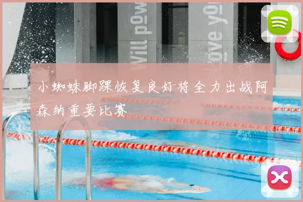 小蜘蛛脚踝恢复良好将全力出战阿森纳重要比赛