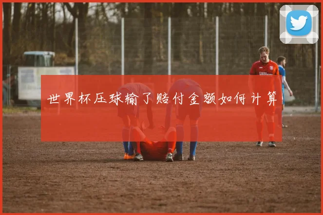 世界杯压球输了赔付金额如何计算