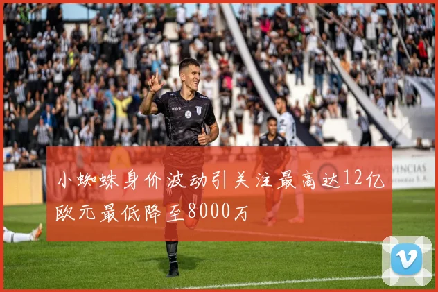 小蜘蛛身价波动引关注最高达12亿欧元最低降至8000万