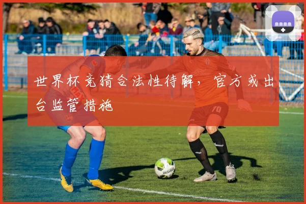 世界杯竞猜合法性待解,官方或出台监管措施