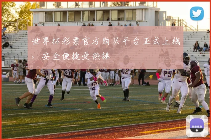 世界杯彩票官方购买平台正式上线,安全便捷受热捧