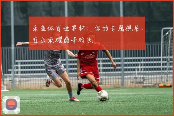 乐鱼体育世界杯：你的专属视角，直击荣耀巅峰对决