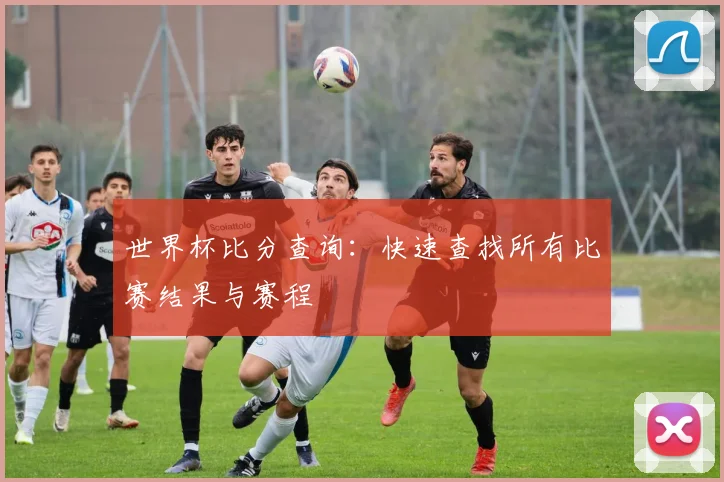 世界杯比分查询：快速查找所有比赛结果与赛程