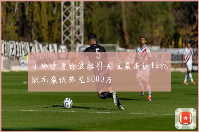 小蜘蛛身价波动引关注最高达12亿欧元最低降至8000万