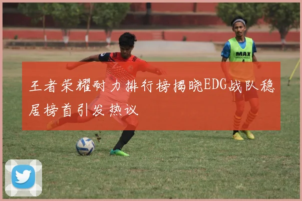 王者荣耀耐力排行榜揭晓EDG战队稳居榜首引发热议