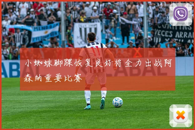 小蜘蛛脚踝恢复良好将全力出战阿森纳重要比赛