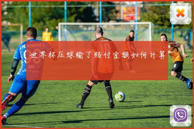 世界杯压球输了赔付金额如何计算