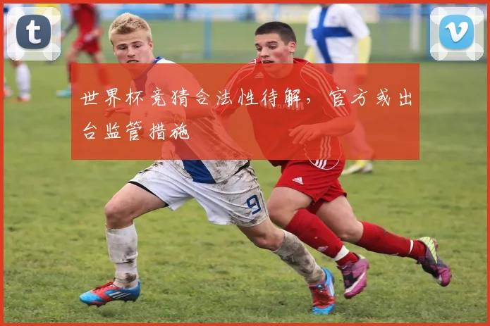 世界杯竞猜合法性待解,官方或出台监管措施